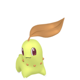 Pokestar - Shiny Chikorita in Legends: Z-A